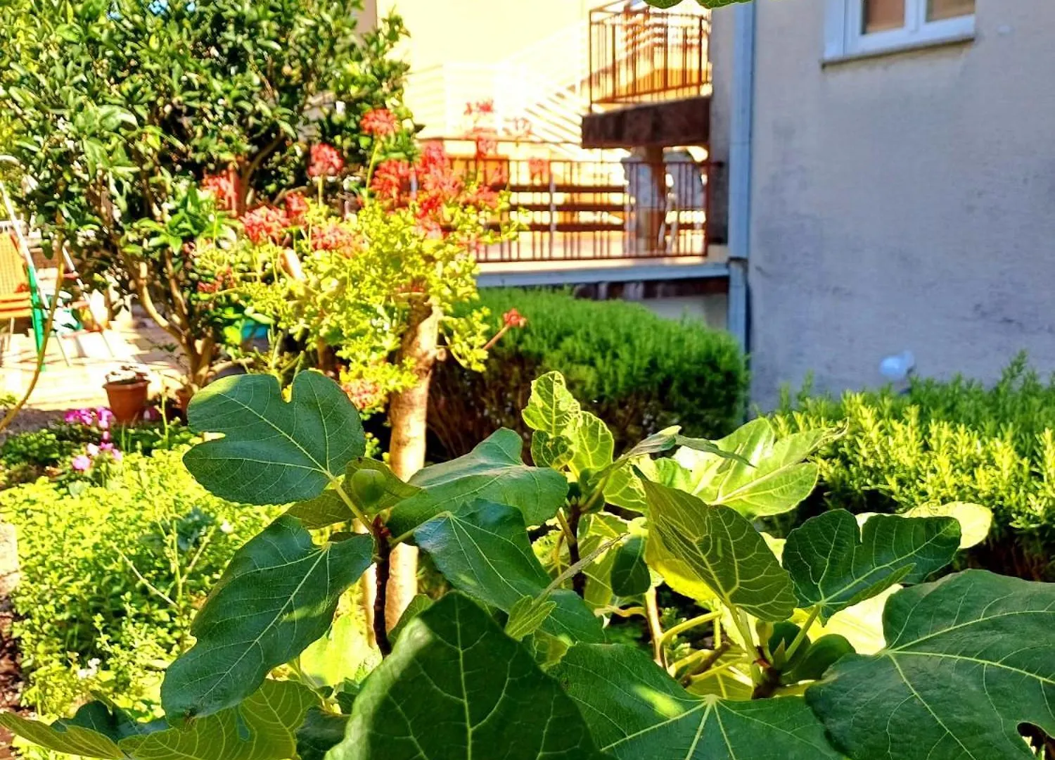 More Crikvenica Apartment